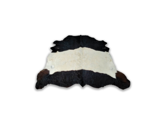 Black and White Belted Galloway Cow Hide