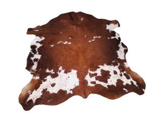 Brown and White Cow Hide