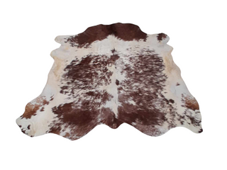 Red and White Short Horn Cow Hide
