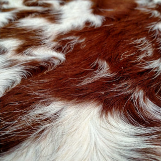 Brown and White Speckle Cow Hide