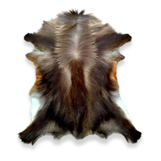 Winter Bull Tahr Skin