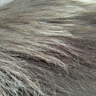 Winter Bull Tahr Skin