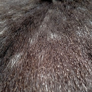 Winter Chocolate Fallow