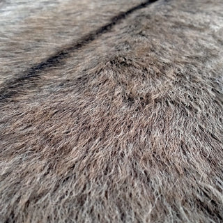 Chamois