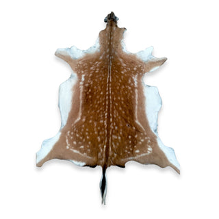 Tan Spotty Fallow