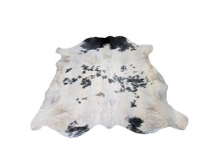 Belgium Blue Cow Hide