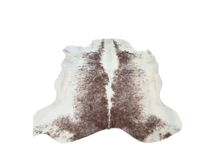 Red and White Shorthorn Cow Hide