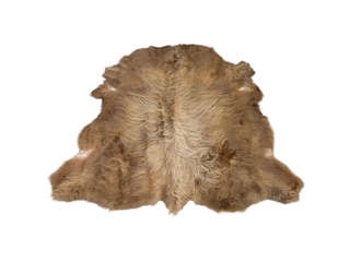Highland Cow Hide