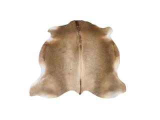 Gold Jersey Cow Hide