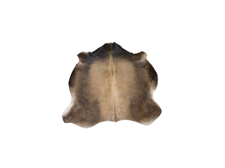 Black/Tan Jersey Cow Hide