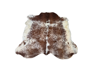 Red and White Shorthorn Cow Hide