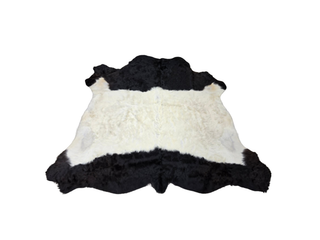Black and White Belted Galloway Cow Hide
