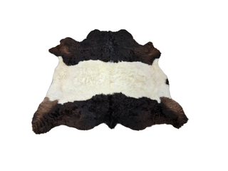 Black and White Belted Galloway Cow Hide