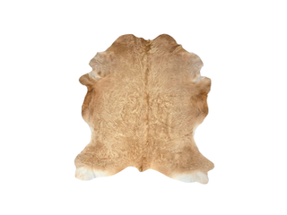 Gold Cow Hide