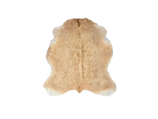 Gold Cow Hide
