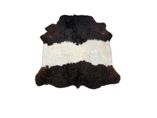 Black and White Belted Galloway Cow Hide