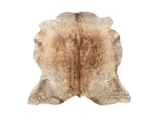 Gold/Blonde Cow Hide