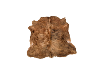 Highland Cow Hide