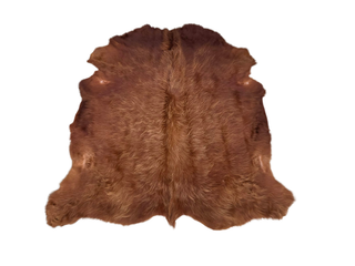 Highland Summer Cow Hide
