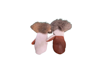 Possum Skin Mittens