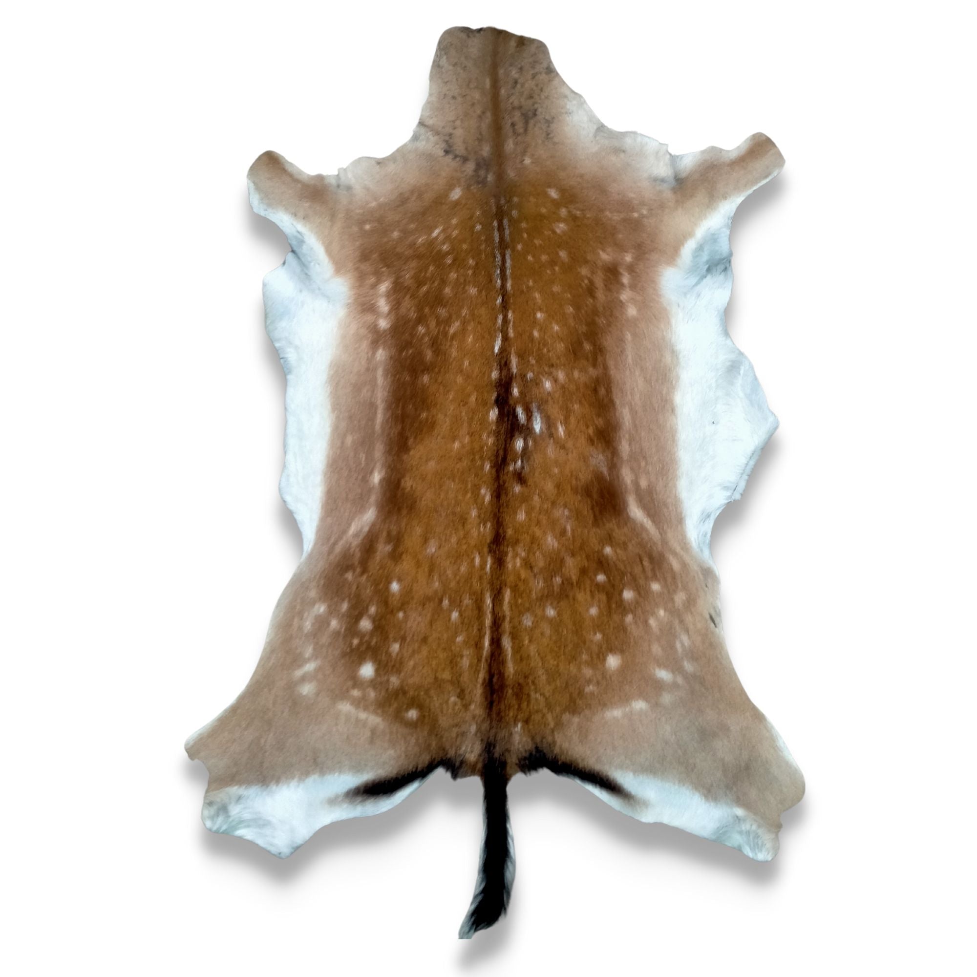 Tan Spotty Fallow Deer Skin for Sale Animal Skin Tanning Services