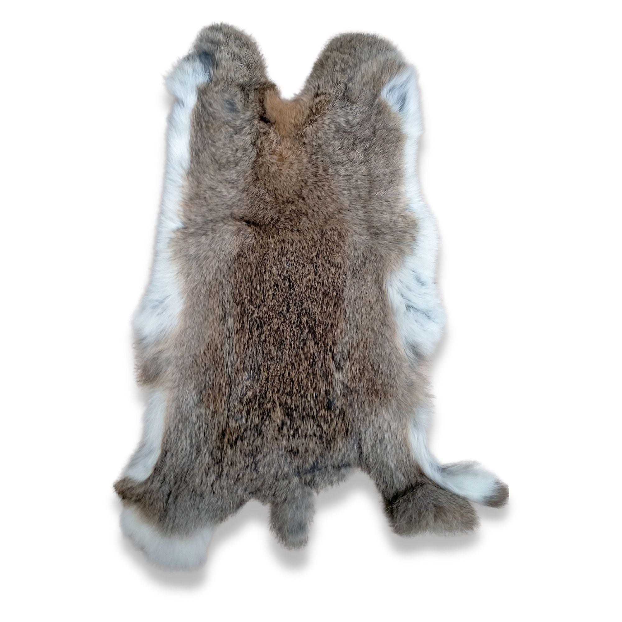 Wild Rabbit Skins Animal Skin Tanning Services